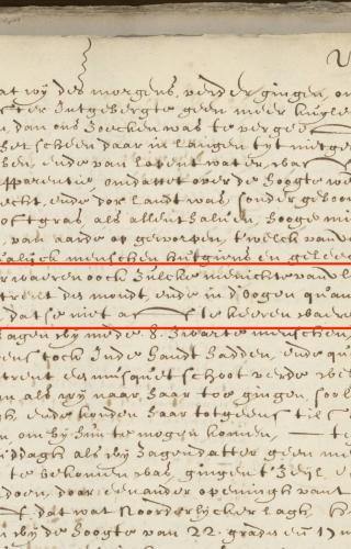 Excerpt of an entry for 16 June 1629 from the daily journal of Francisco Pelsaert.