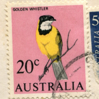 20c Australian stamp. Pink background with a yellow, black and white bird on it.