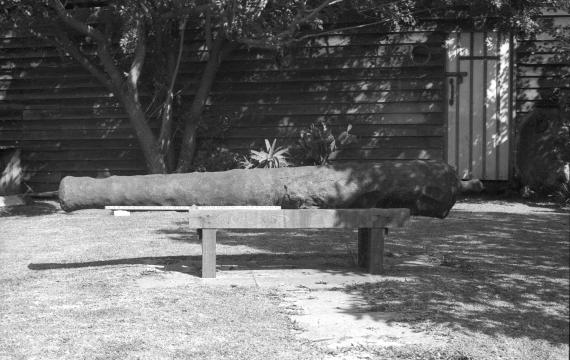 A black and white photo of a cannon